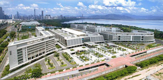 免费在线观看麻豆视频工程案例之香港大学深圳医院